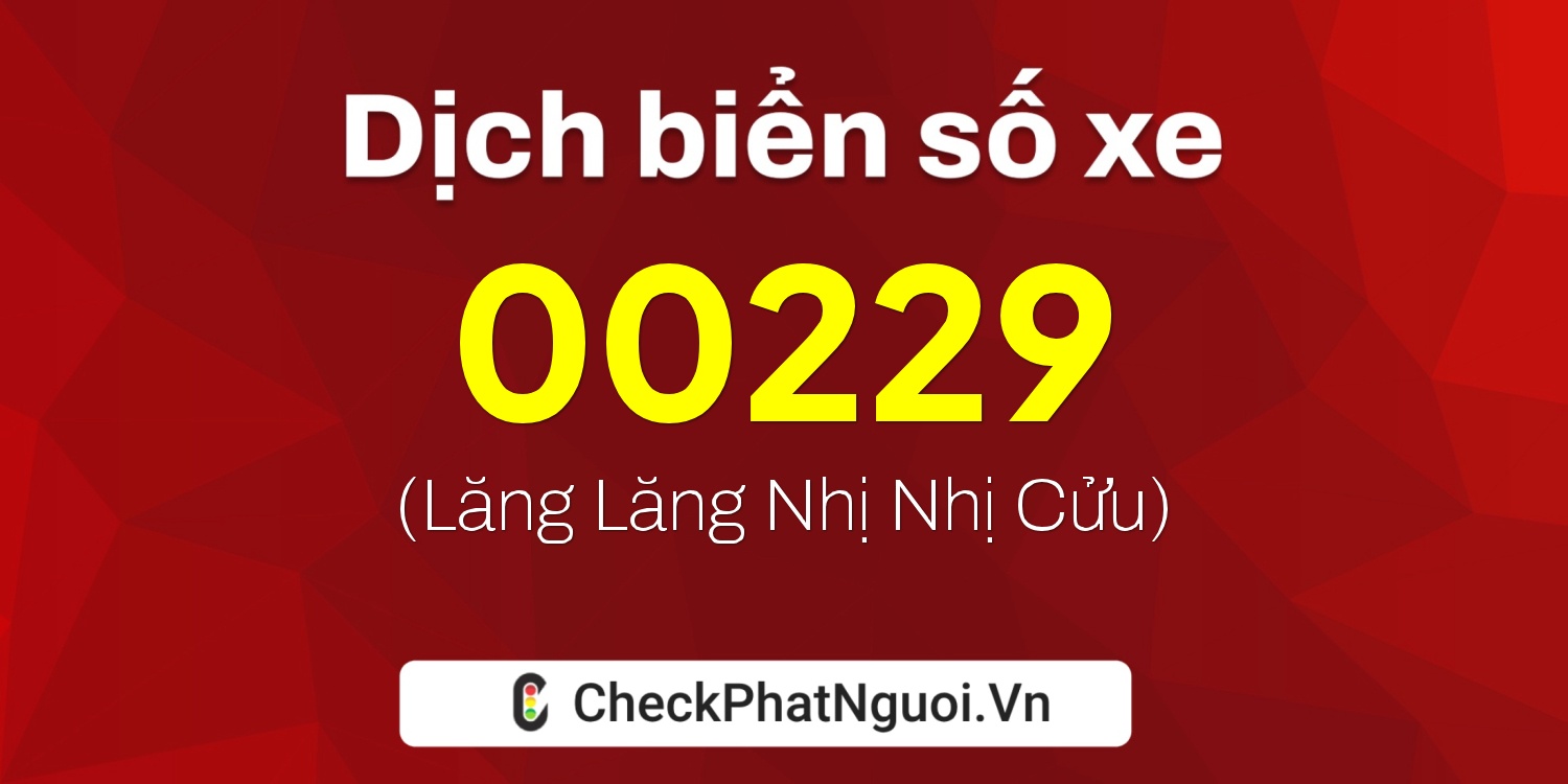 Dịch ý nghĩa <b>biển số xe 89G-00229</b> tại website checkphatnguoi.vn