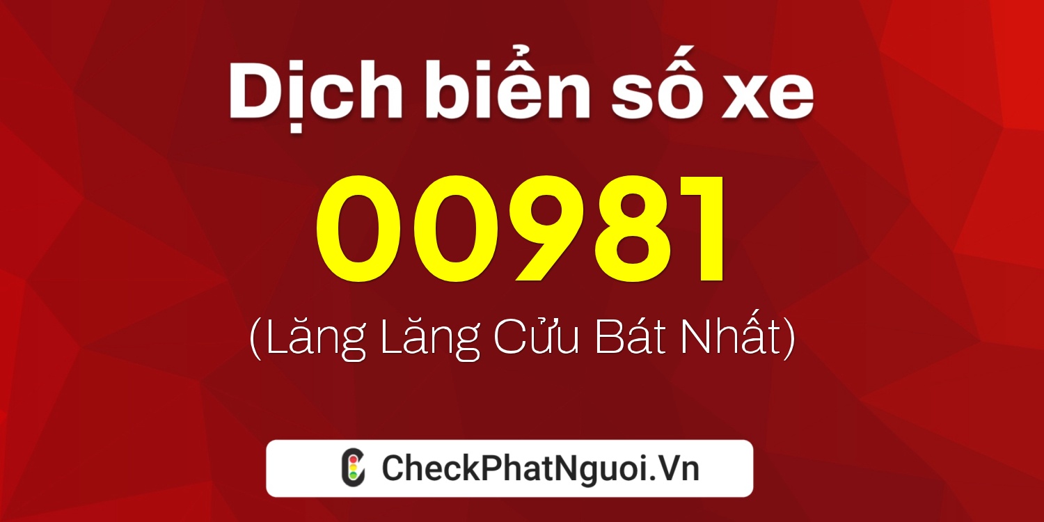 Dịch ý nghĩa <b>biển số xe 34S1-00981</b> tại website checkphatnguoi.vn