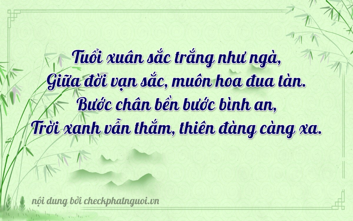 Bài thơ ý nghĩa cho <b>biển số 02999</b> tại website checkphatnguoi.vn