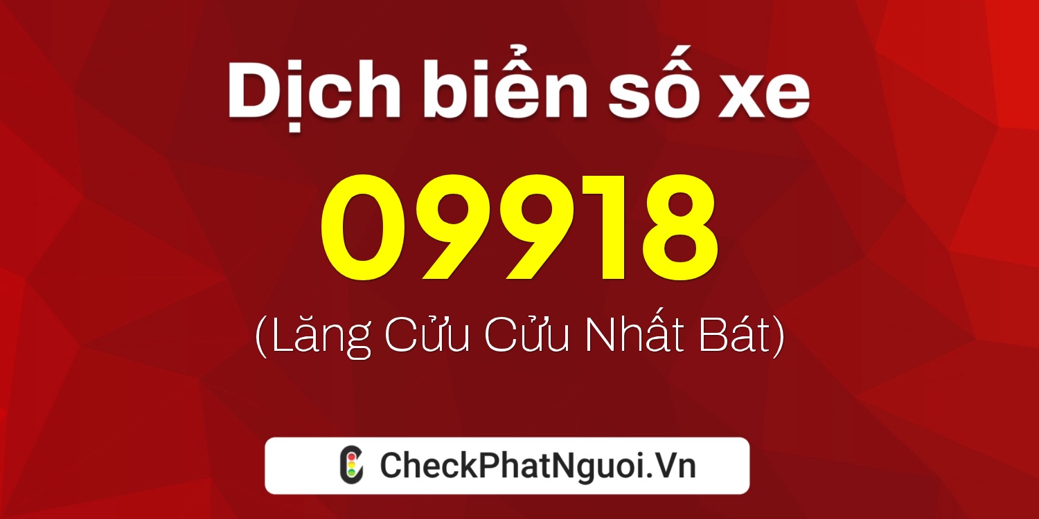 Dịch ý nghĩa <b>biển số xe 65B2-09918</b> tại website checkphatnguoi.vn