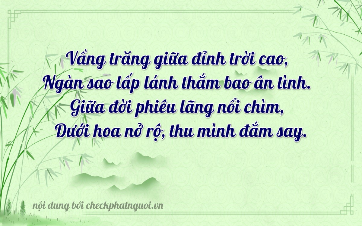 Bài thơ ý nghĩa cho <b>biển số 13204</b> tại website checkphatnguoi.vn