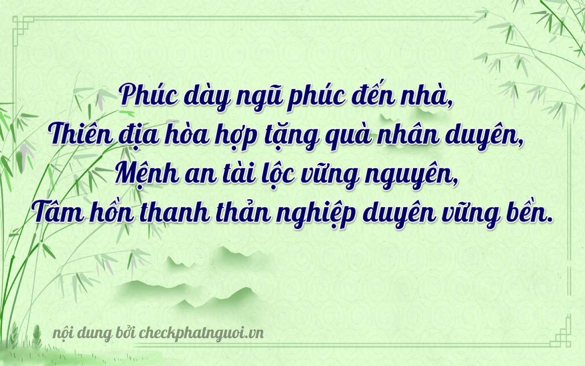 Bài thơ ý nghĩa cho <b>biển số 13645</b> tại website checkphatnguoi.vn