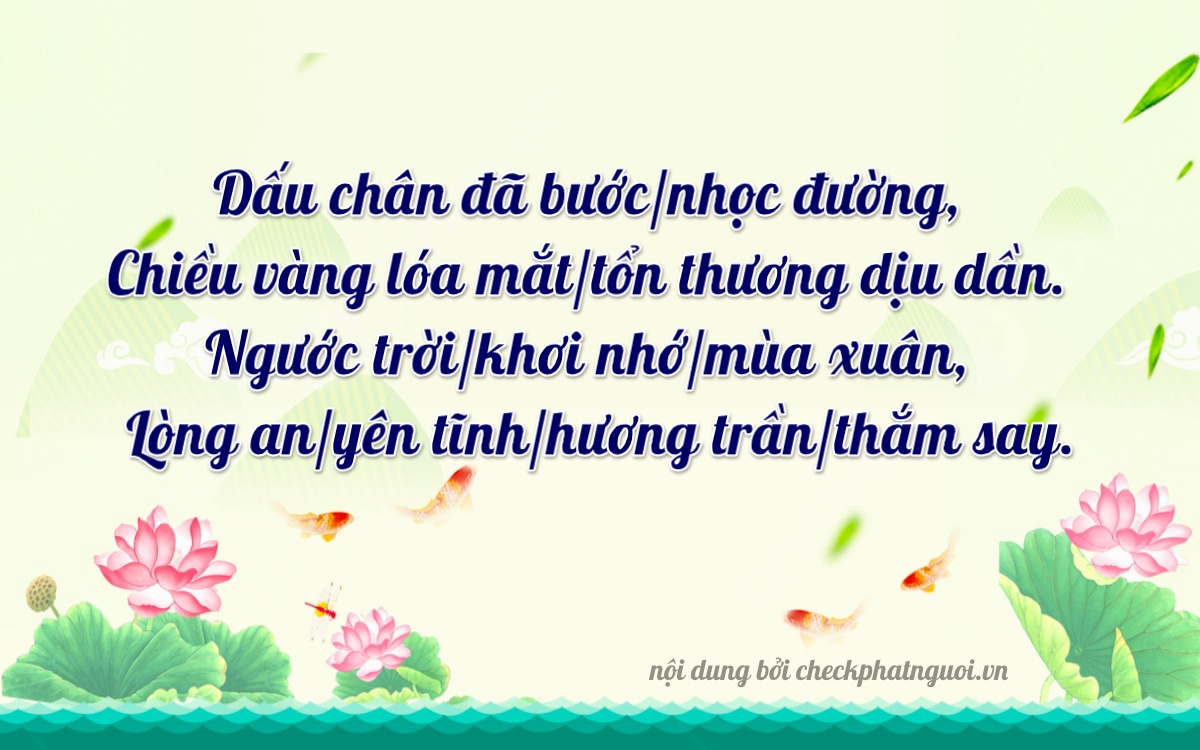Bài thơ ý nghĩa cho <b>biển số 15AS-08699</b> tại website checkphatnguoi.vn