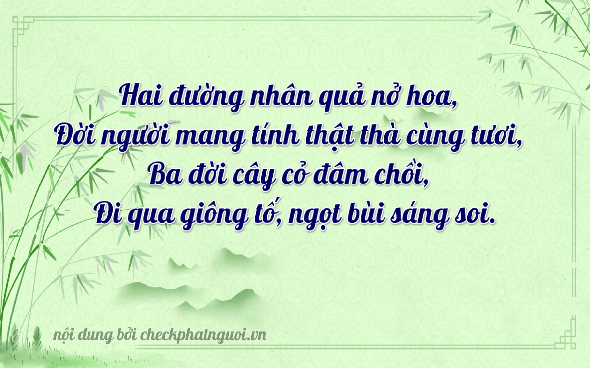 Bài thơ ý nghĩa cho <b>biển số 15P1-01232</b> tại website checkphatnguoi.vn