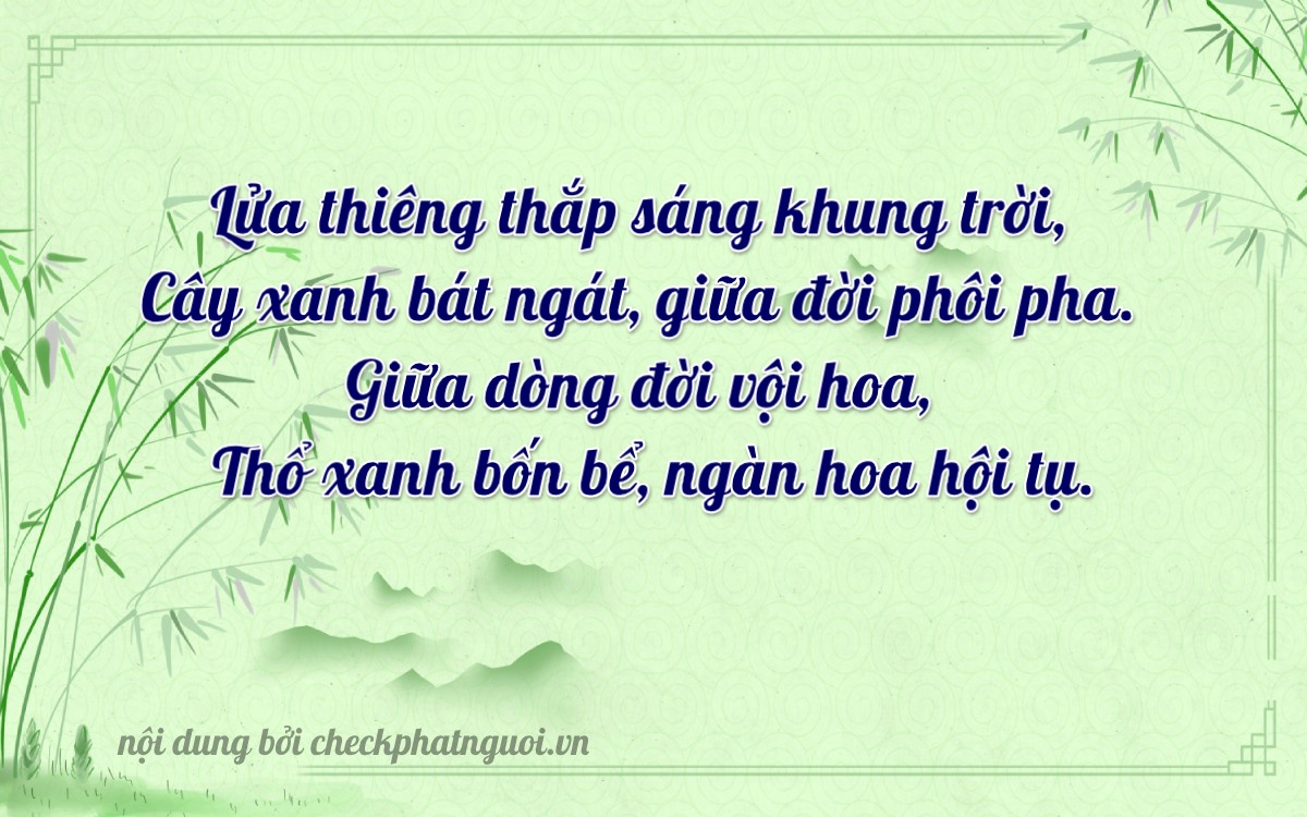 Bài thơ ý nghĩa cho <b>biển số 17B9-51541</b> tại website checkphatnguoi.vn