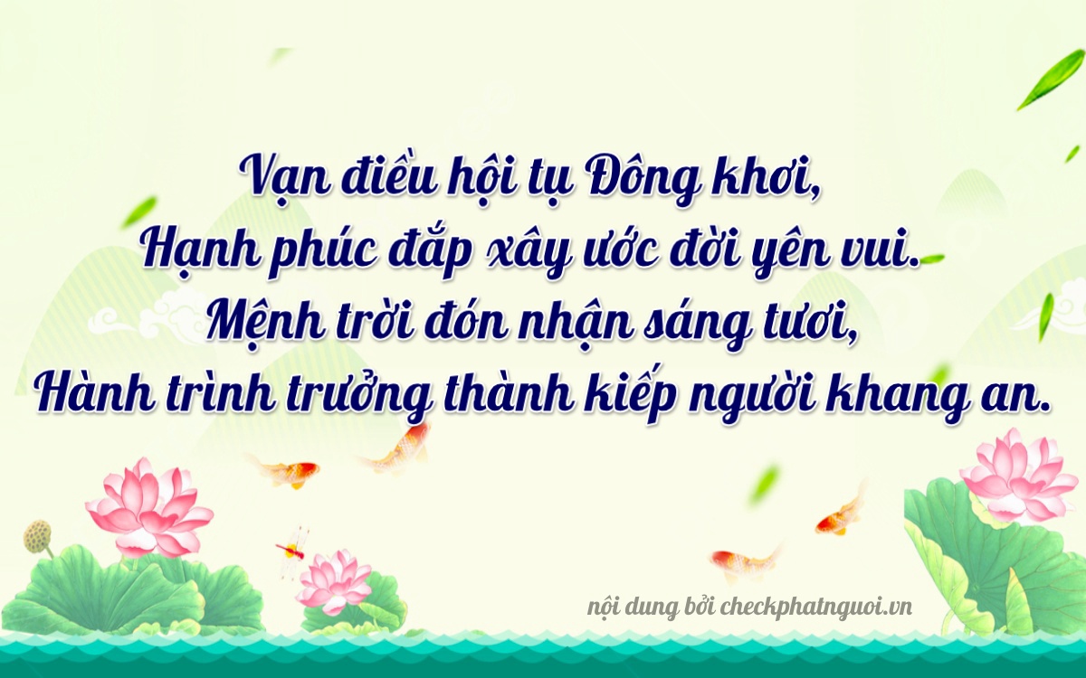 Bài thơ ý nghĩa cho <b>biển số 19919</b> tại website checkphatnguoi.vn