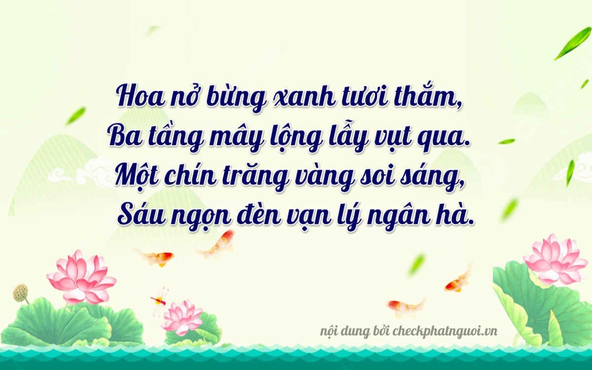 Bài thơ ý nghĩa cho <b>biển số 19A-33196</b> tại website checkphatnguoi.vn