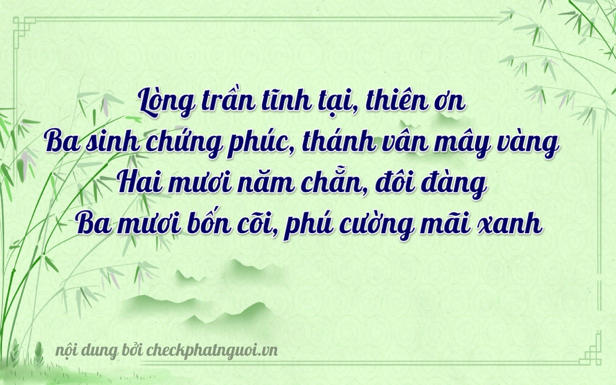 Bài thơ ý nghĩa cho <b>biển số 19A-33213</b> tại website checkphatnguoi.vn