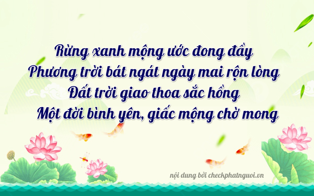 Bài thơ ý nghĩa cho <b>biển số 19B-07213</b> tại website checkphatnguoi.vn