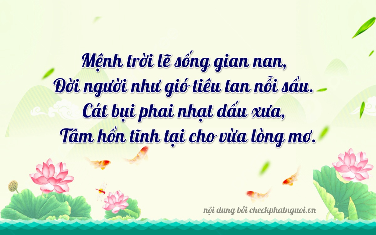 Bài thơ ý nghĩa cho <b>biển số 20A-23992</b> tại website checkphatnguoi.vn