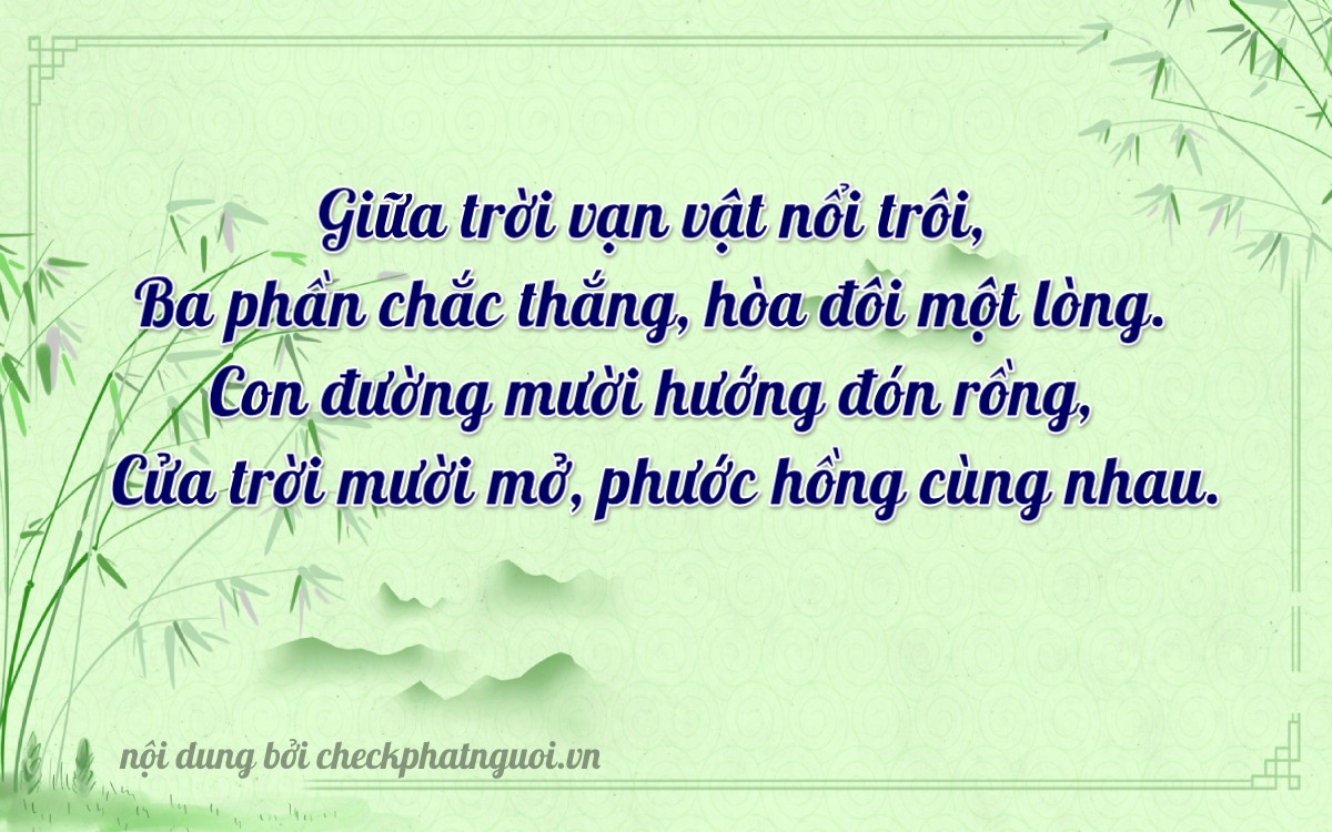 Bài thơ ý nghĩa cho <b>biển số 20A-33010</b> tại website checkphatnguoi.vn