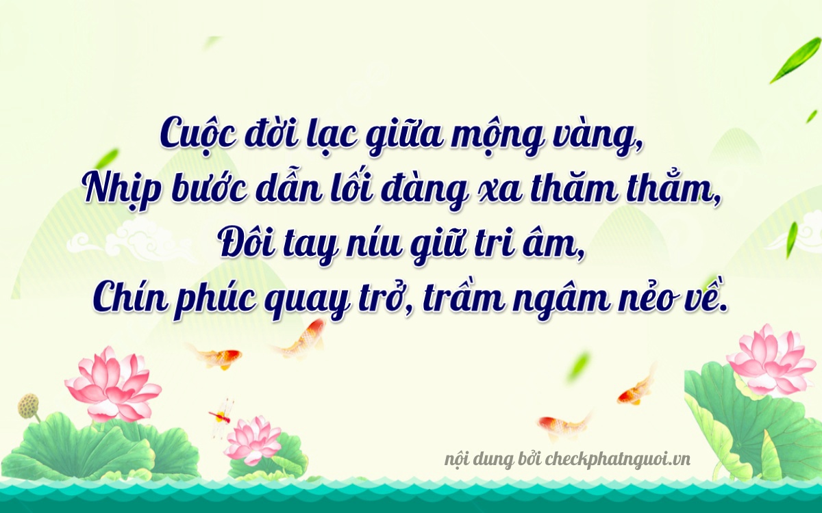 Bài thơ ý nghĩa cho <b>biển số 20B-02949</b> tại website checkphatnguoi.vn