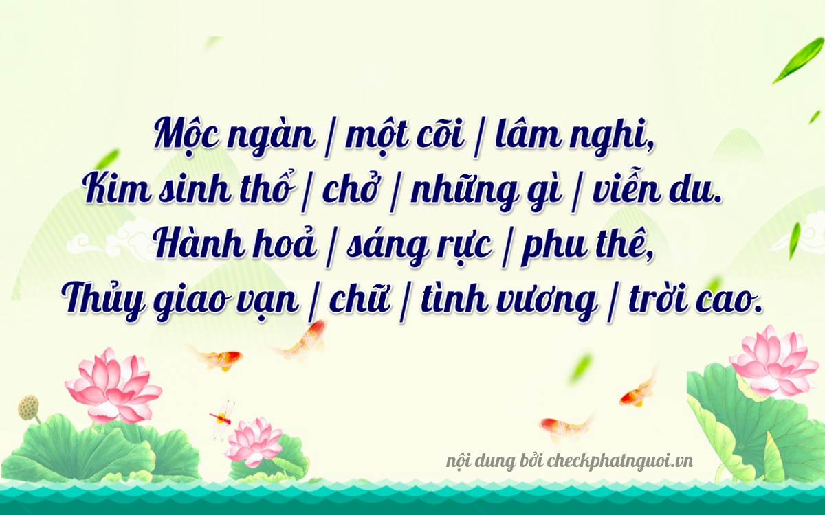 Bài thơ ý nghĩa cho <b>biển số 22A-25165</b> tại website checkphatnguoi.vn