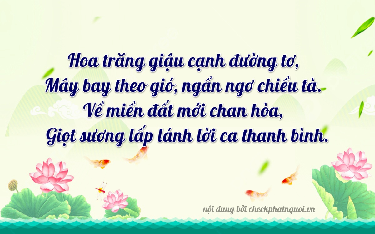 Bài thơ ý nghĩa cho <b>biển số 22A-27956</b> tại website checkphatnguoi.vn