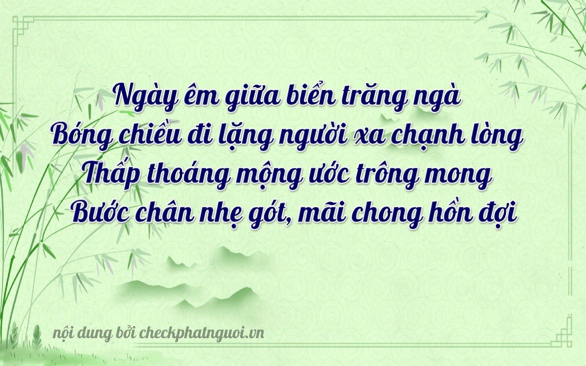 Bài thơ ý nghĩa cho <b>biển số 22AA-45678</b> tại website checkphatnguoi.vn