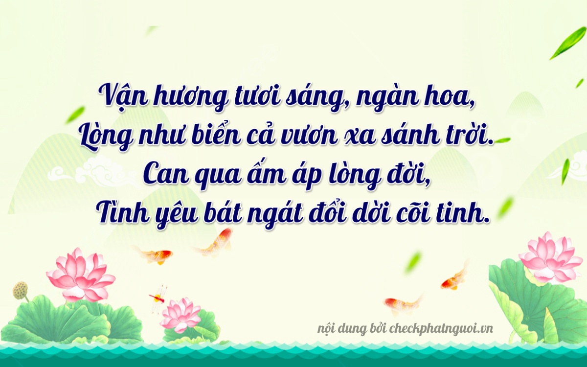 Bài thơ ý nghĩa cho <b>biển số 22B1-46243</b> tại website checkphatnguoi.vn