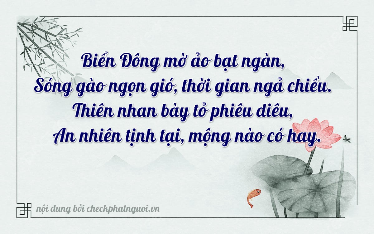 Bài thơ ý nghĩa cho <b>biển số 22B1-89228</b> tại website checkphatnguoi.vn