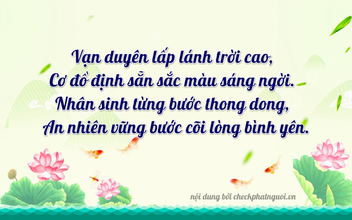 Bài thơ ý nghĩa cho <b>biển số 22B2-62006</b> tại website checkphatnguoi.vn