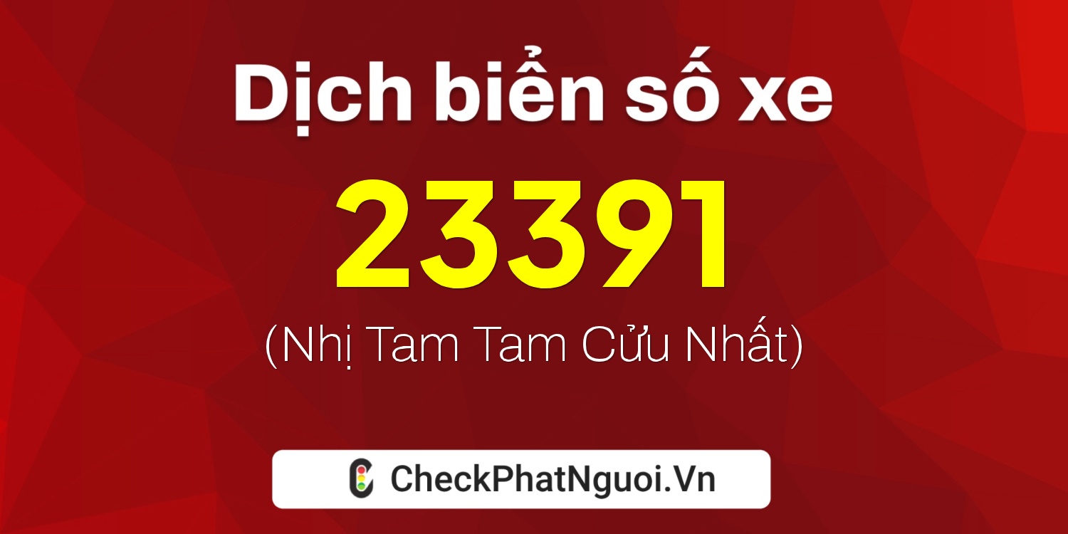 Dịch ý nghĩa <b>biển số xe 19P1-23391</b> tại website checkphatnguoi.vn