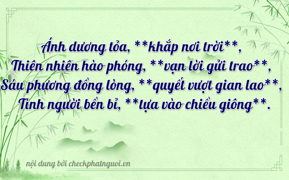 Bài thơ ý nghĩa cho <b>biển số 23A-08166</b> tại website checkphatnguoi.vn