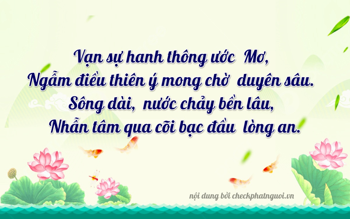 Bài thơ ý nghĩa cho <b>biển số 24D-00800</b> tại website checkphatnguoi.vn