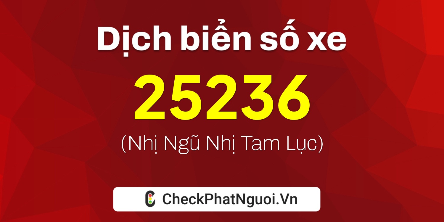 Dịch ý nghĩa <b>biển số xe 98C-25236</b> tại website checkphatnguoi.vn