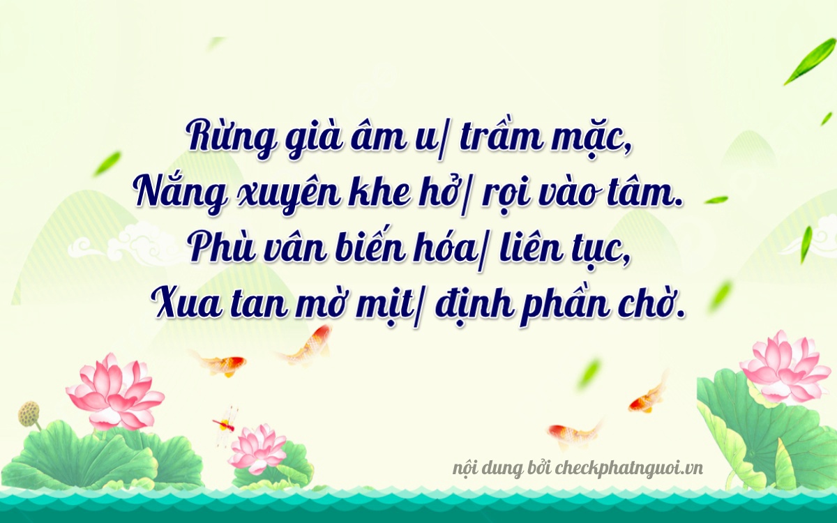 Bài thơ ý nghĩa cho <b>biển số 25A-06767</b> tại website checkphatnguoi.vn