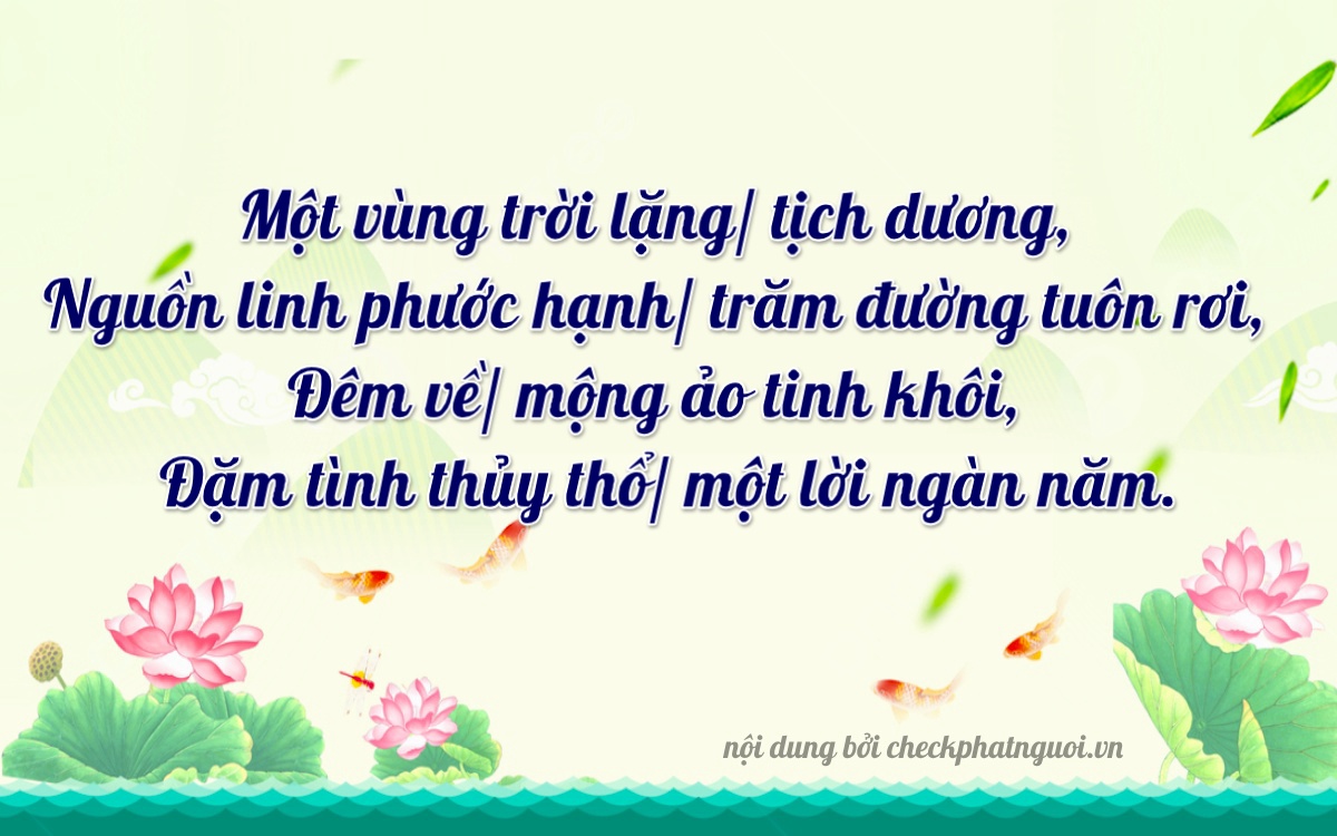 Bài thơ ý nghĩa cho <b>biển số 27N-99999</b> tại website checkphatnguoi.vn