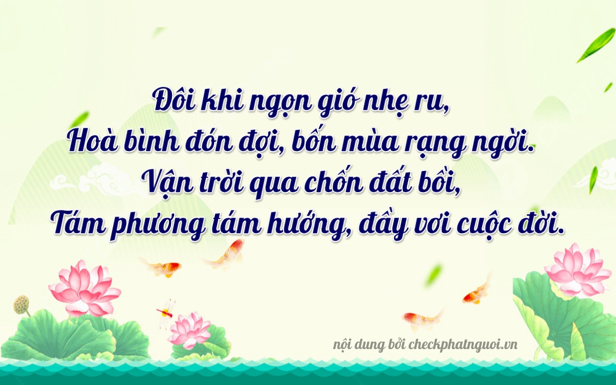 Bài thơ ý nghĩa cho <b>biển số 29084</b> tại website checkphatnguoi.vn