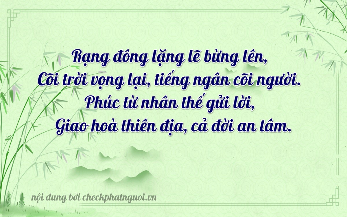 Bài thơ ý nghĩa cho <b>biển số 29A1-04953</b> tại website checkphatnguoi.vn