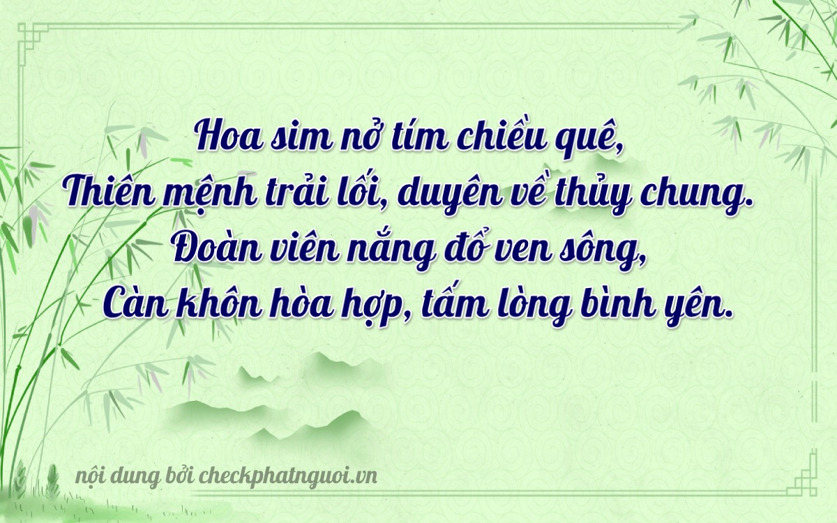 Bài thơ ý nghĩa cho <b>biển số 29AC-06309</b> tại website checkphatnguoi.vn