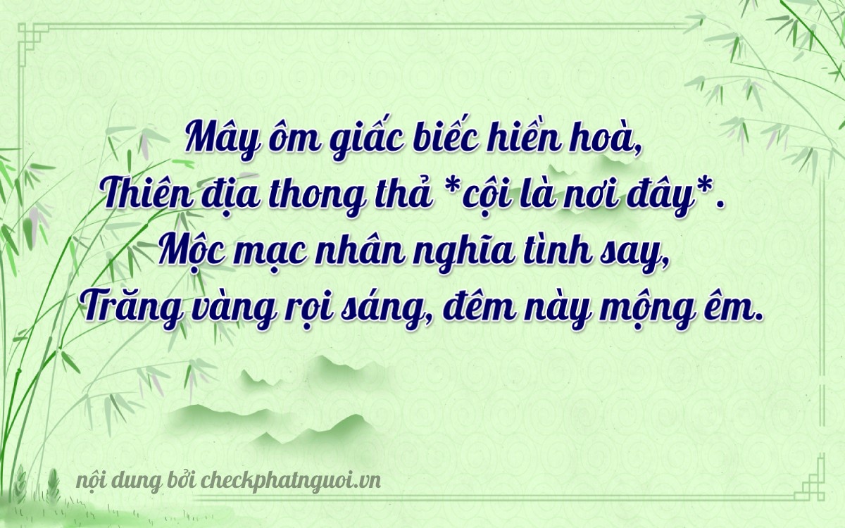 Bài thơ ý nghĩa cho <b>biển số 29AN-05896</b> tại website checkphatnguoi.vn