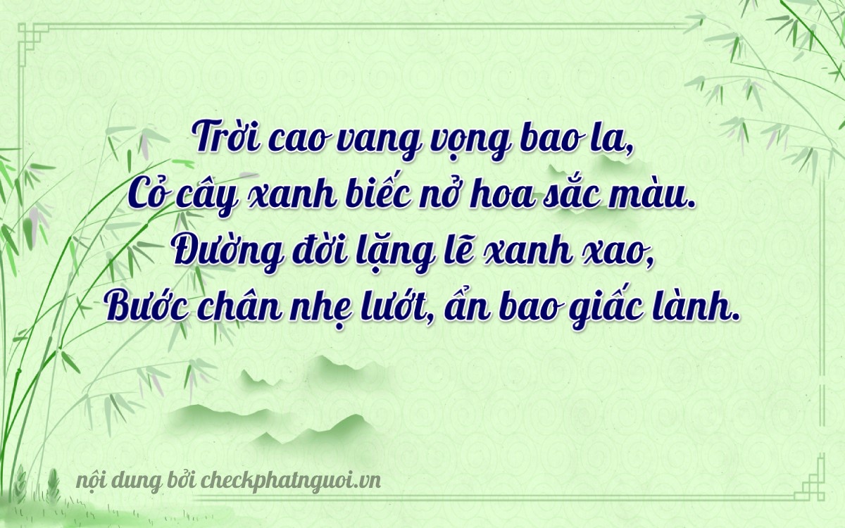 Bài thơ ý nghĩa cho <b>biển số 29B1-49810</b> tại website checkphatnguoi.vn