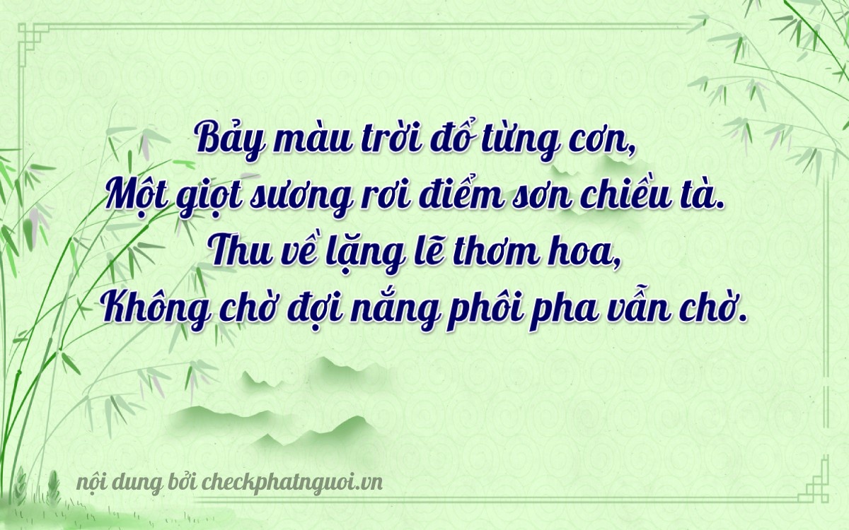 Bài thơ ý nghĩa cho <b>biển số 29B-17101</b> tại website checkphatnguoi.vn