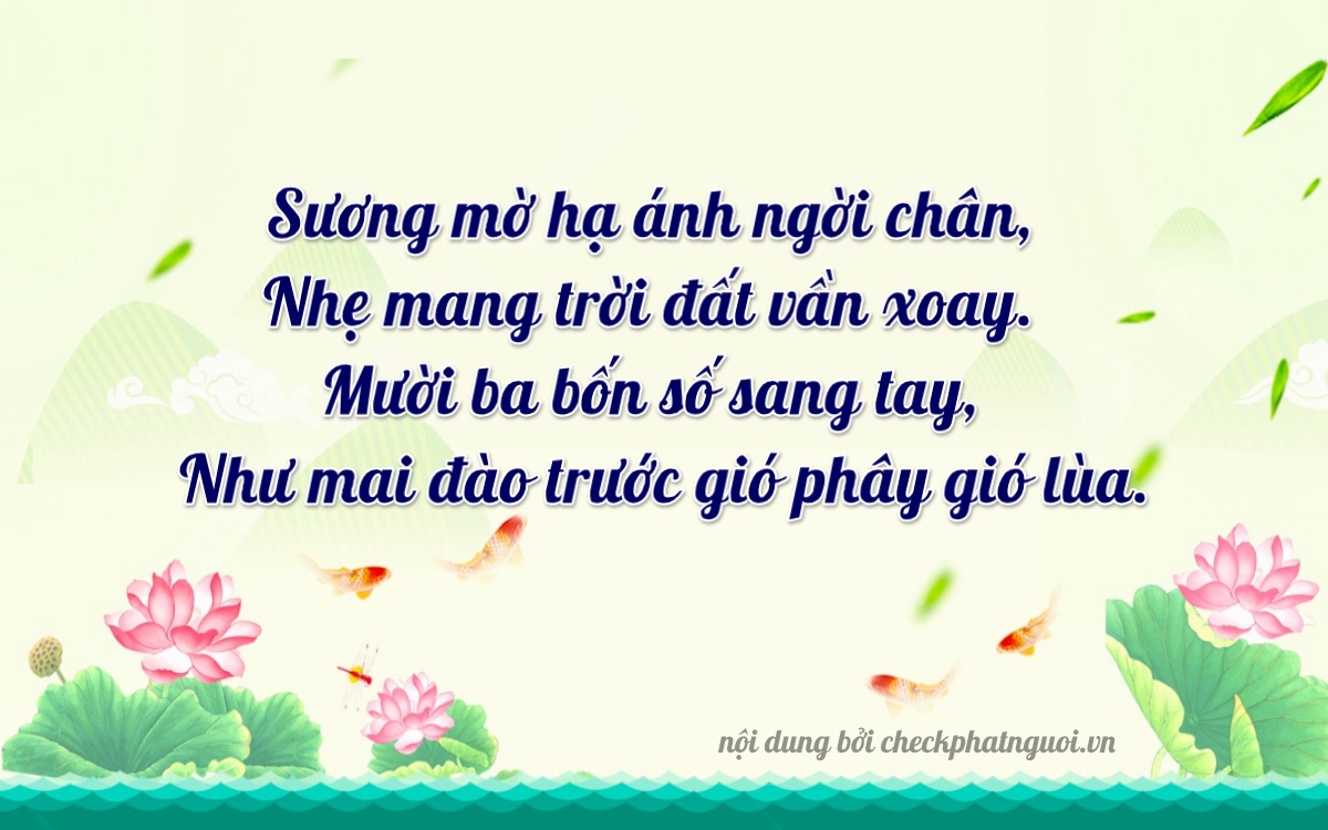 Bài thơ ý nghĩa cho <b>biển số 29BD-13714</b> tại website checkphatnguoi.vn