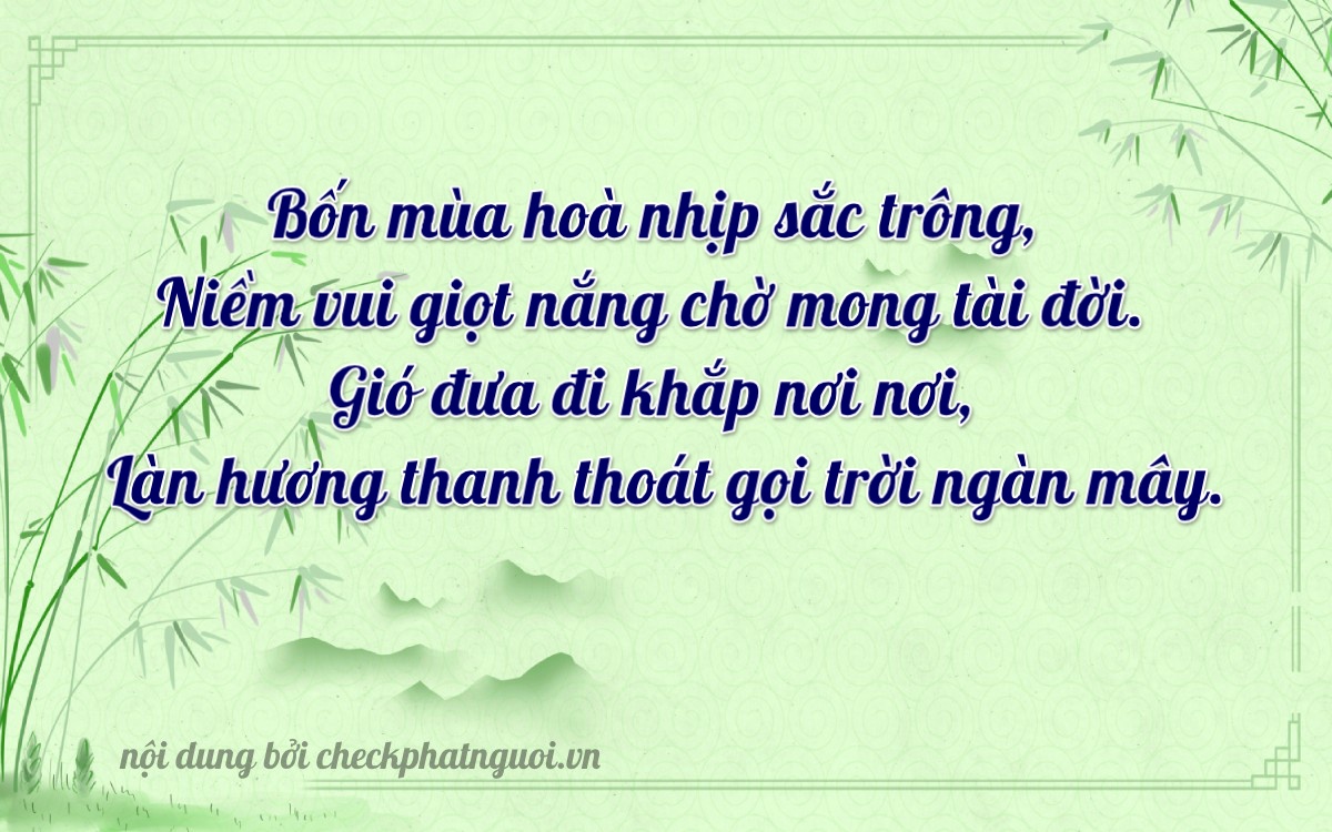 Bài thơ ý nghĩa cho <b>biển số 29C1-49919</b> tại website checkphatnguoi.vn