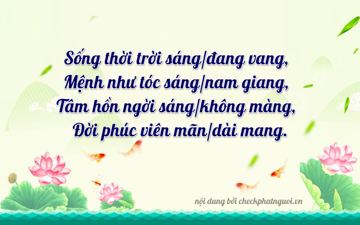Bài thơ ý nghĩa cho <b>biển số 29G1-18984</b> tại website checkphatnguoi.vn