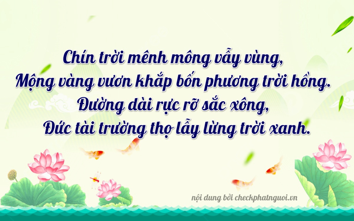 Bài thơ ý nghĩa cho <b>biển số 29P1-99999</b> tại website checkphatnguoi.vn