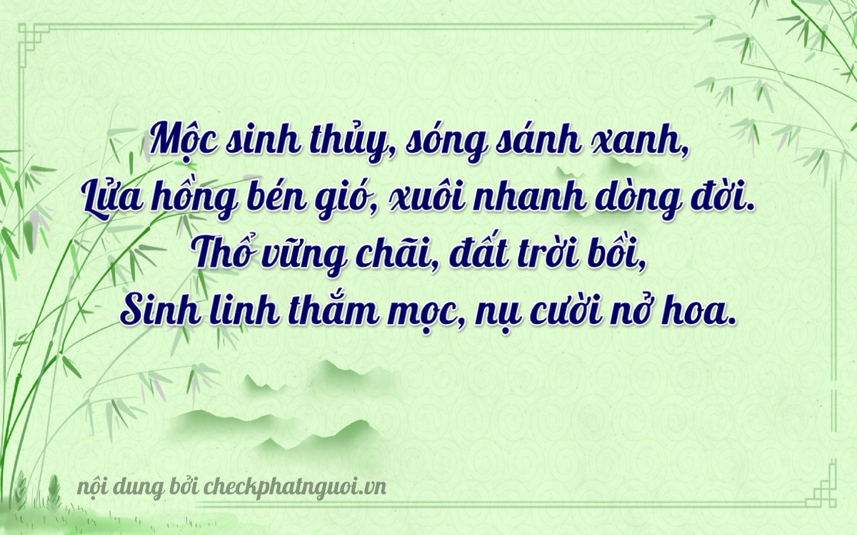 Bài thơ ý nghĩa cho <b>biển số 29V1-85762</b> tại website checkphatnguoi.vn
