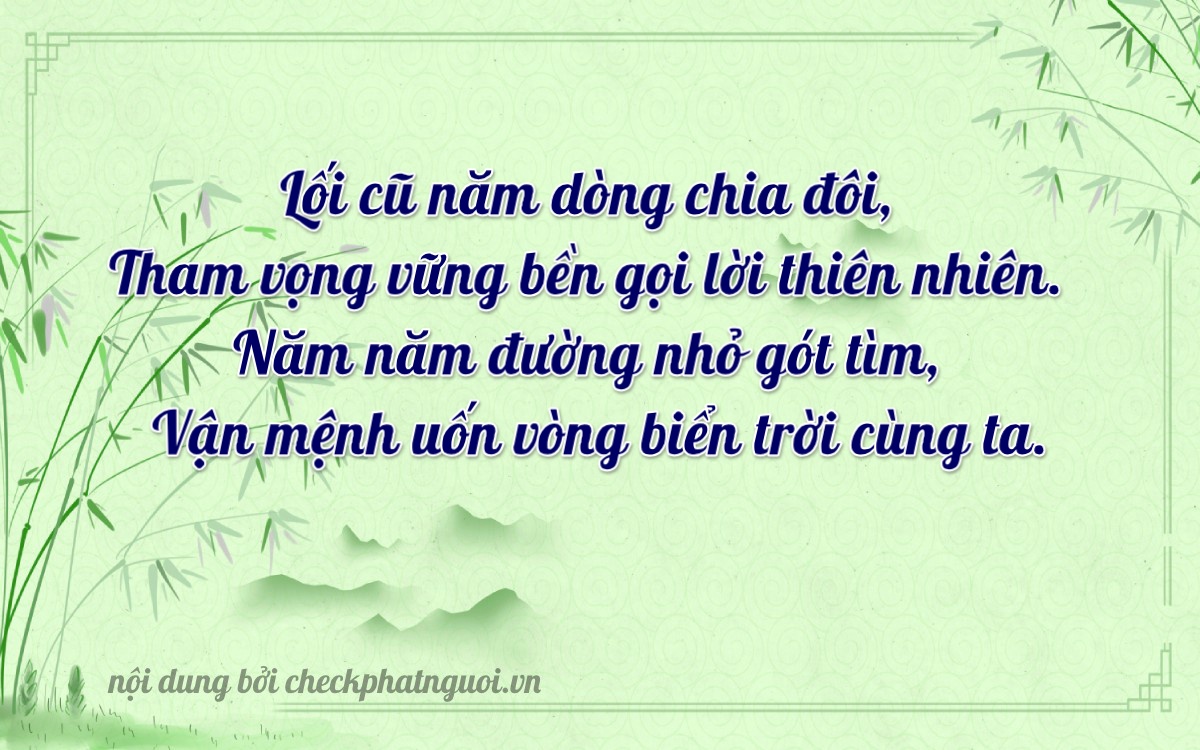 Bài thơ ý nghĩa cho <b>biển số 29V3-51060</b> tại website checkphatnguoi.vn