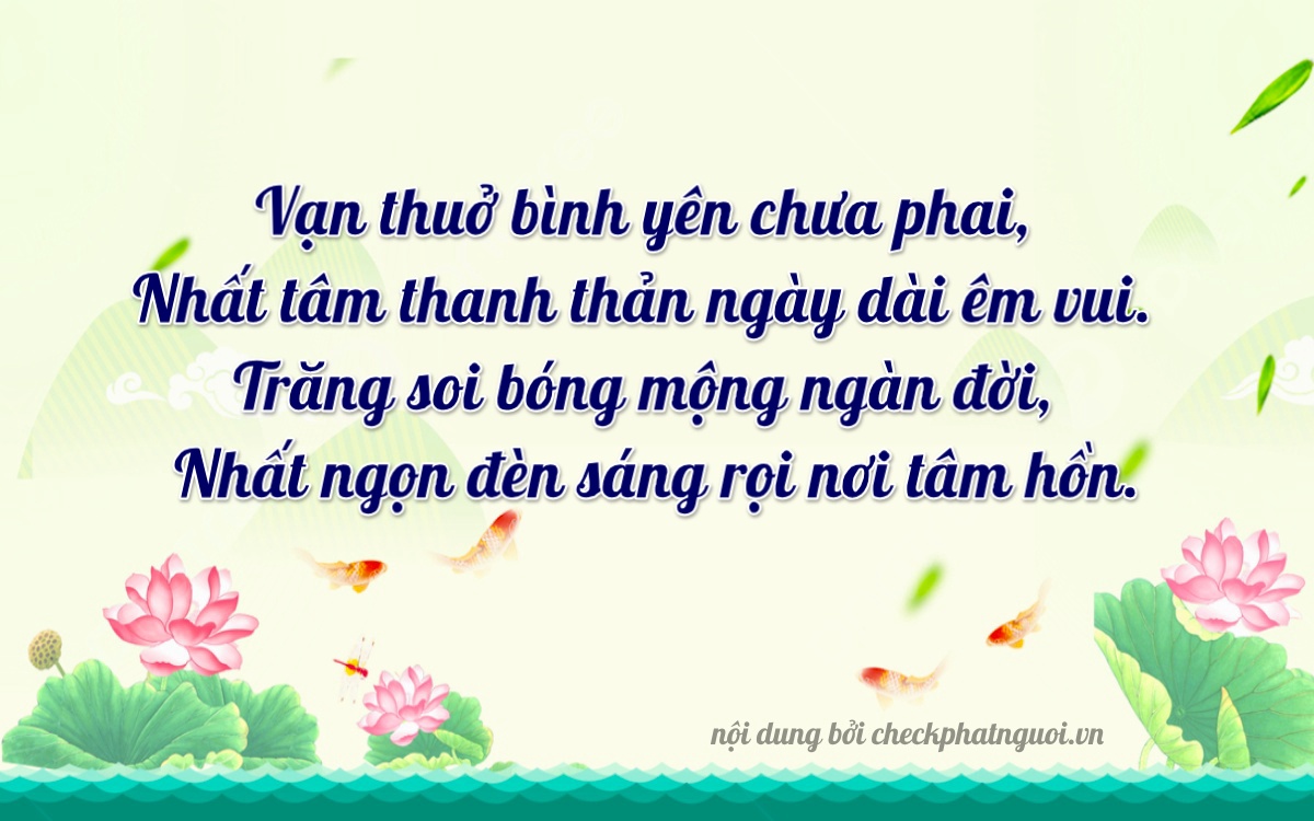 Bài thơ ý nghĩa cho <b>biển số 29V5-29111</b> tại website checkphatnguoi.vn