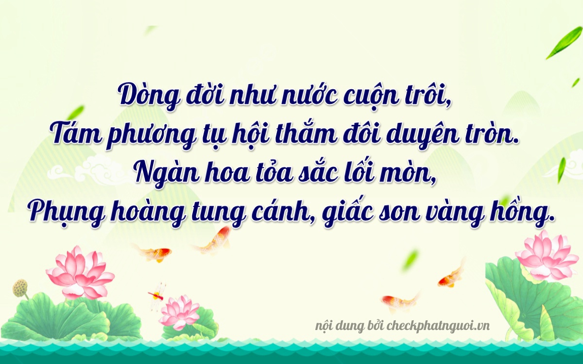 Bài thơ ý nghĩa cho <b>biển số 29Y1-23818</b> tại website checkphatnguoi.vn
