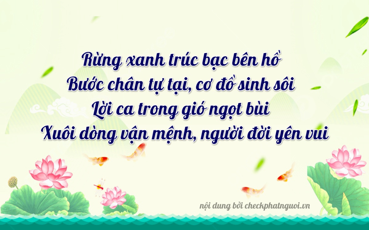 Bài thơ ý nghĩa cho <b>biển số 30F-46645</b> tại website checkphatnguoi.vn