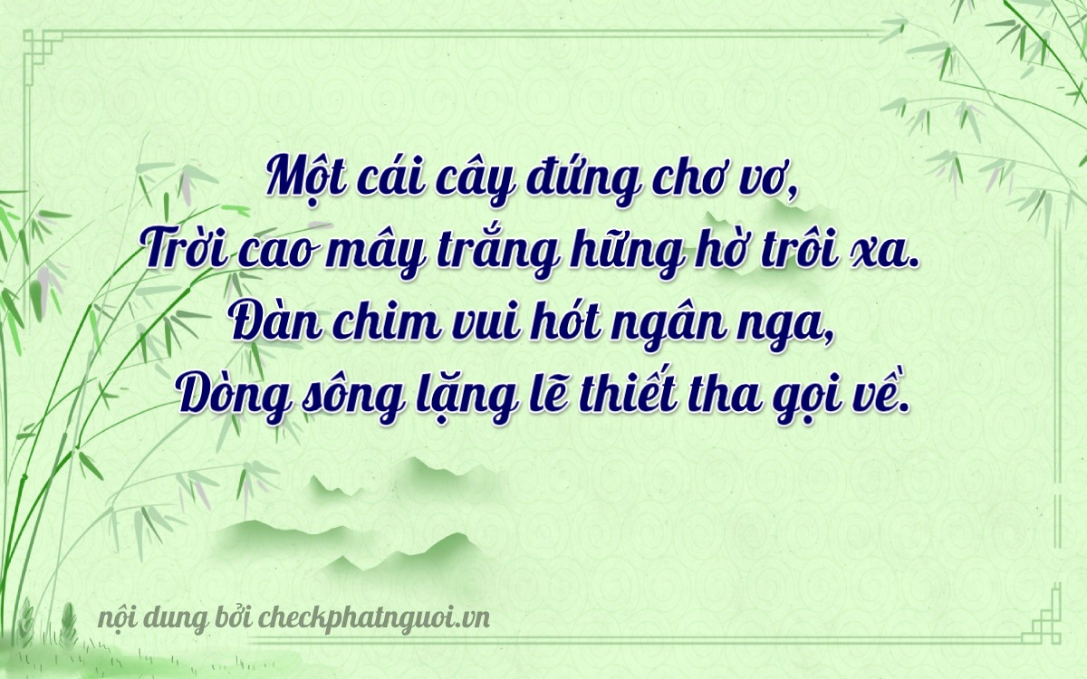 Bài thơ ý nghĩa cho <b>biển số 33131</b> tại website checkphatnguoi.vn