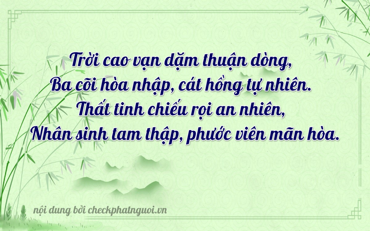 Bài thơ ý nghĩa cho <b>biển số 36A-30317</b> tại website checkphatnguoi.vn