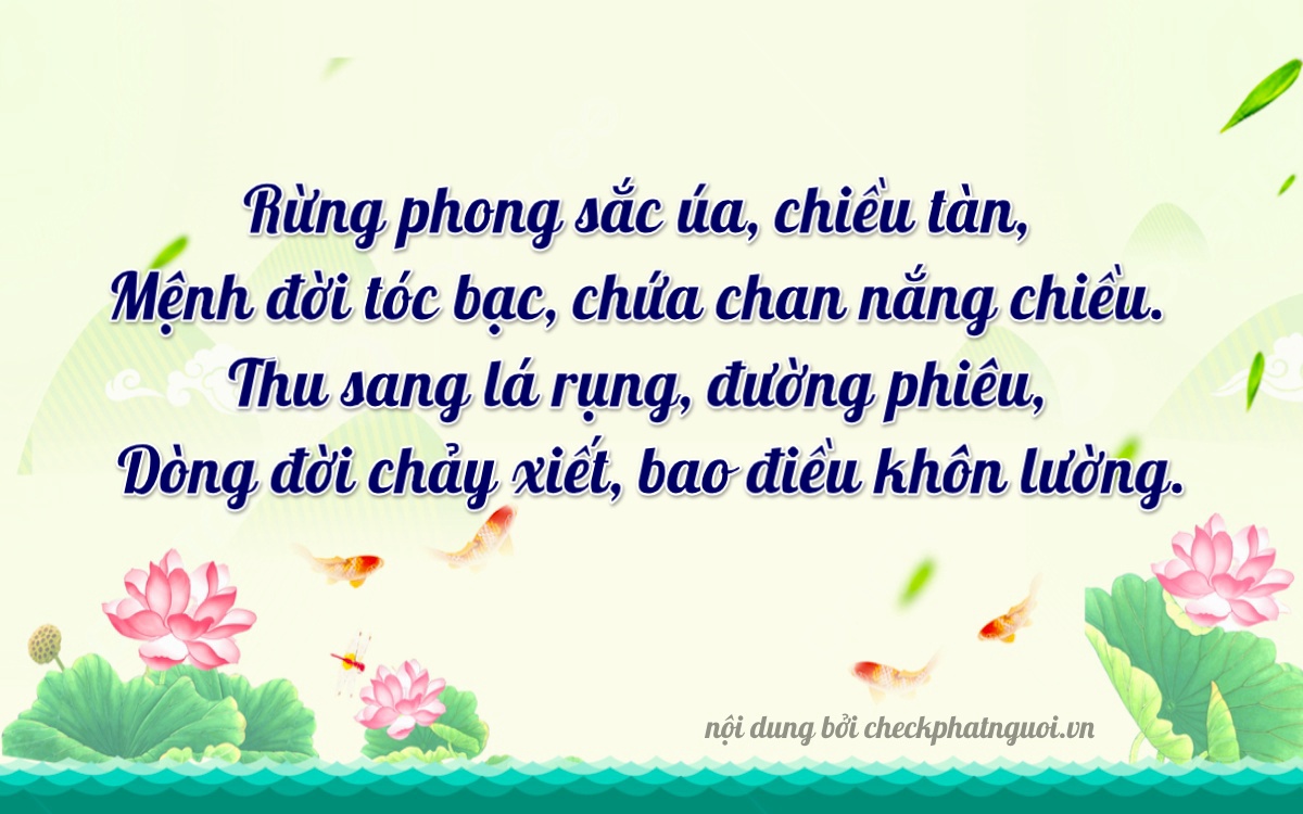 Bài thơ ý nghĩa cho <b>biển số 36A-45928</b> tại website checkphatnguoi.vn