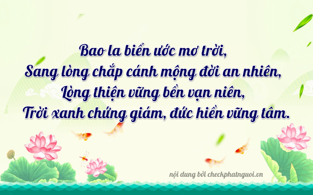 Bài thơ ý nghĩa cho <b>biển số 36AA-22233</b> tại website checkphatnguoi.vn