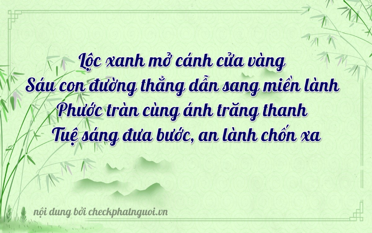 Bài thơ ý nghĩa cho <b>biển số 36B5-64646</b> tại website checkphatnguoi.vn