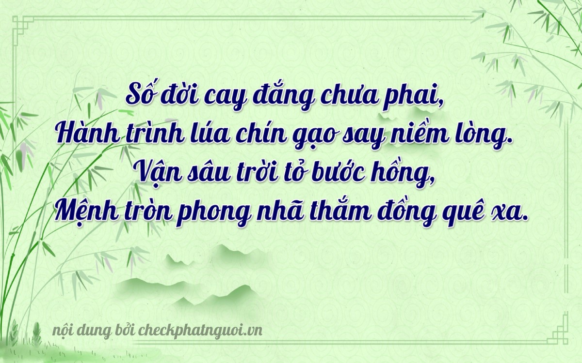 Bài thơ ý nghĩa cho <b>biển số 36C2-42997</b> tại website checkphatnguoi.vn