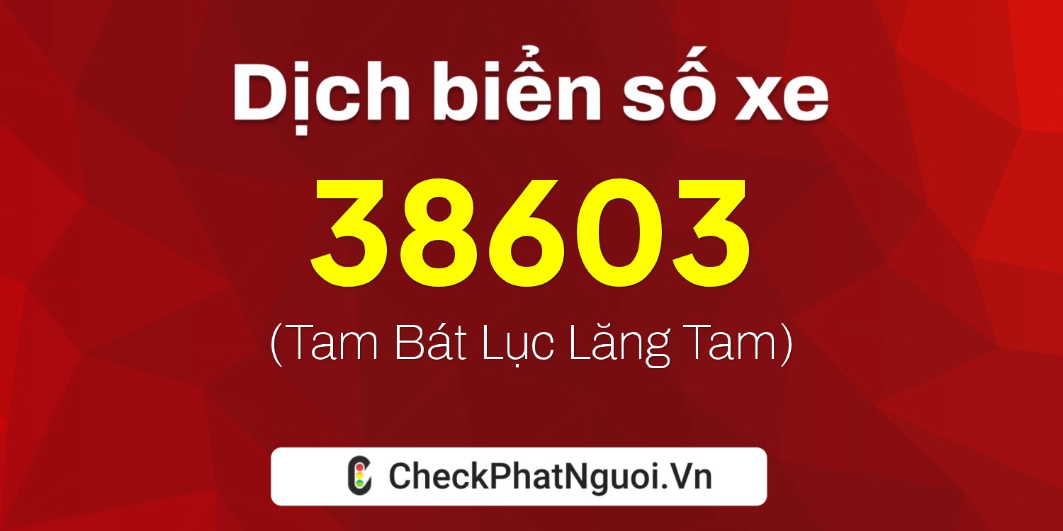Dịch ý nghĩa <b>biển số xe 48D1-38603</b> tại website checkphatnguoi.vn